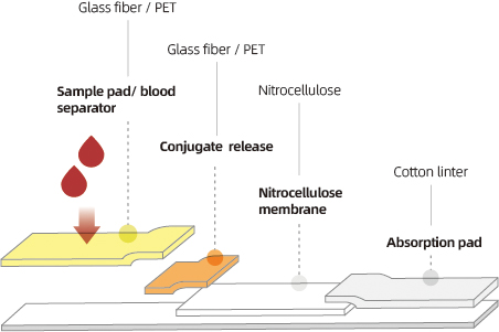 Glass fiber application cbt (1).jpg